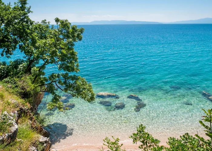 The Wave - With Seaview And Garden - Happy *